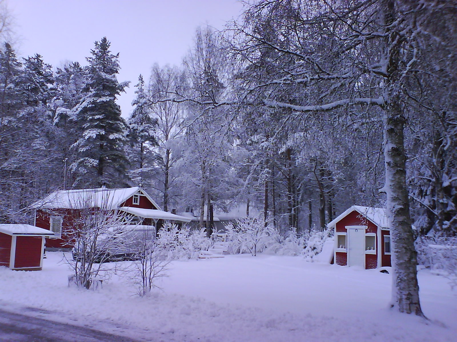 [DSC02451.JPG]