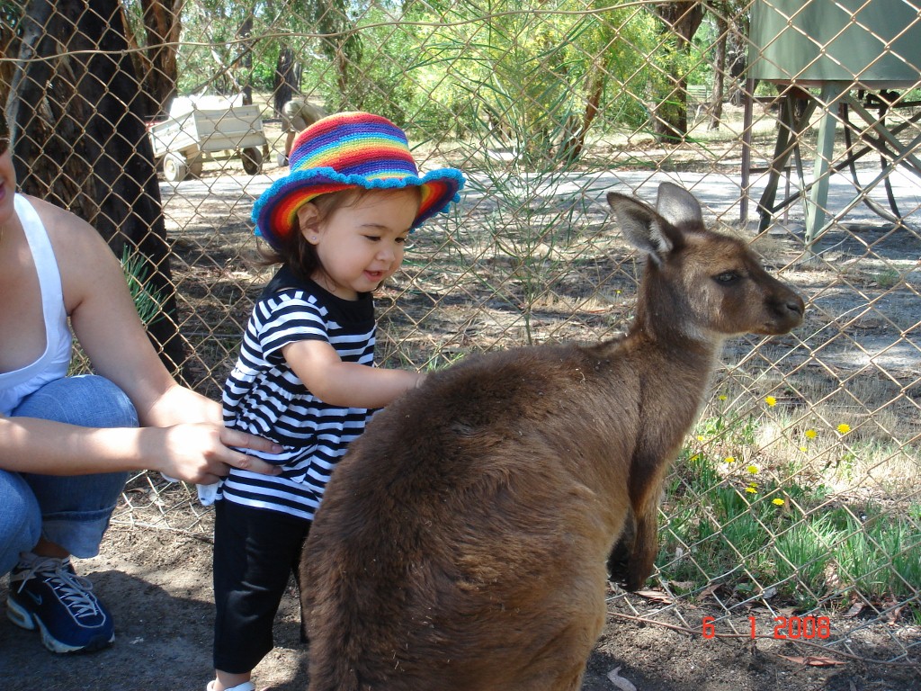 [Ballarat+Wildlife+Park+(15)+(1024x768).jpg]