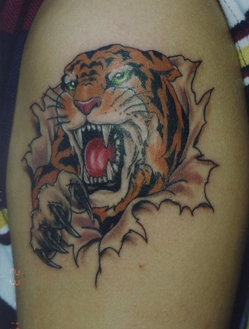 tigers tattoos. Tiger Tattoos