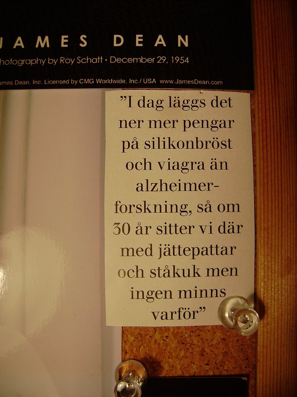 [007.JPG]