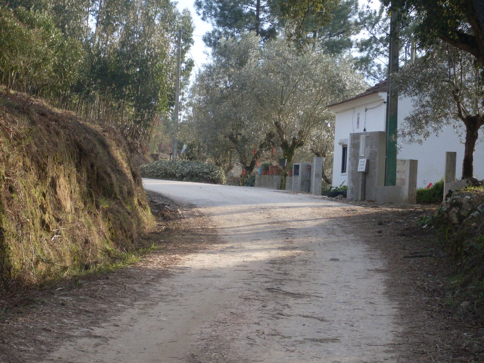 [SDC10512.JPG]