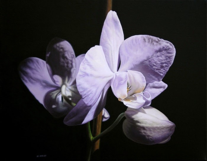 [orchid1.JPG]