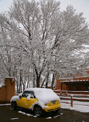 Eek! Mini never saw snow before!