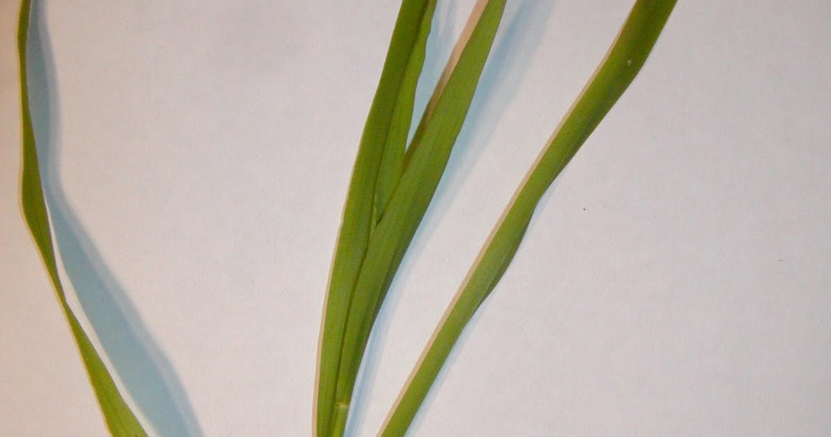 Kid Avalanche Projects and Activities for kids and kids with kids