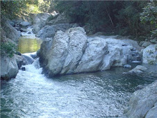 ATRACTIVOS TURISTICOS DEL PINO