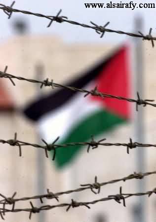 Free Palestine