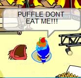 Crap, I thought I bought a good puffle