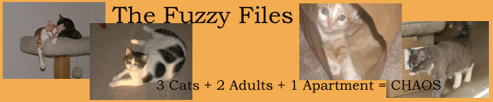 The Fuzzy Files