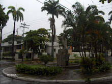 Plaza Indio Guacamaya A. COLINA 1942