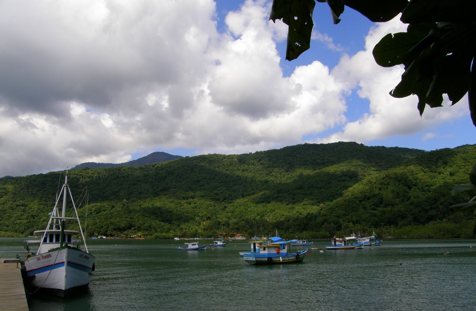 [P5010113.JPG]
