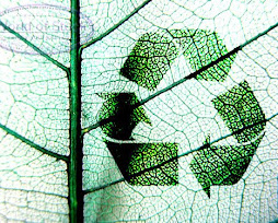 Saving earth project