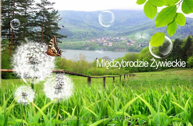 Pocztówka z Międzybrodzia Żywieckiego ze zdjęciem przedstawiającym krajobraz z dmuchawcami, motylem i bąbelkami na zielonym tle.