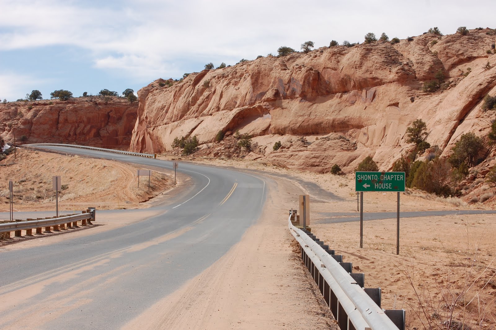 Shonto Artists' Project Pictures