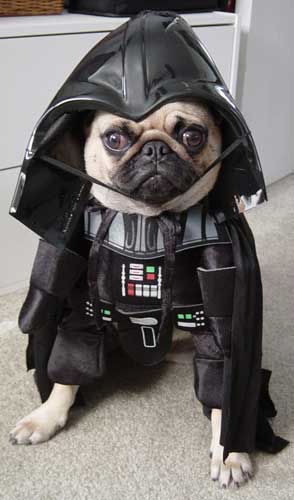 [darth-vader-dog-costume.jpg]