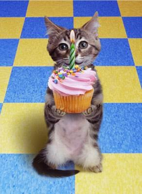 birthday+cat.bmp