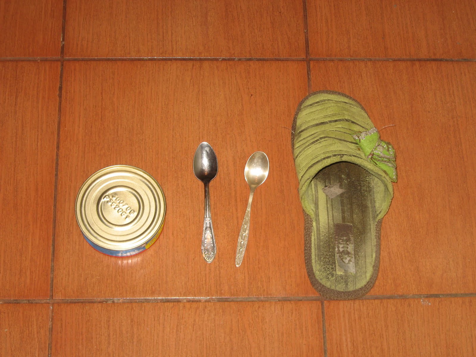 [IMG_5275.JPG]