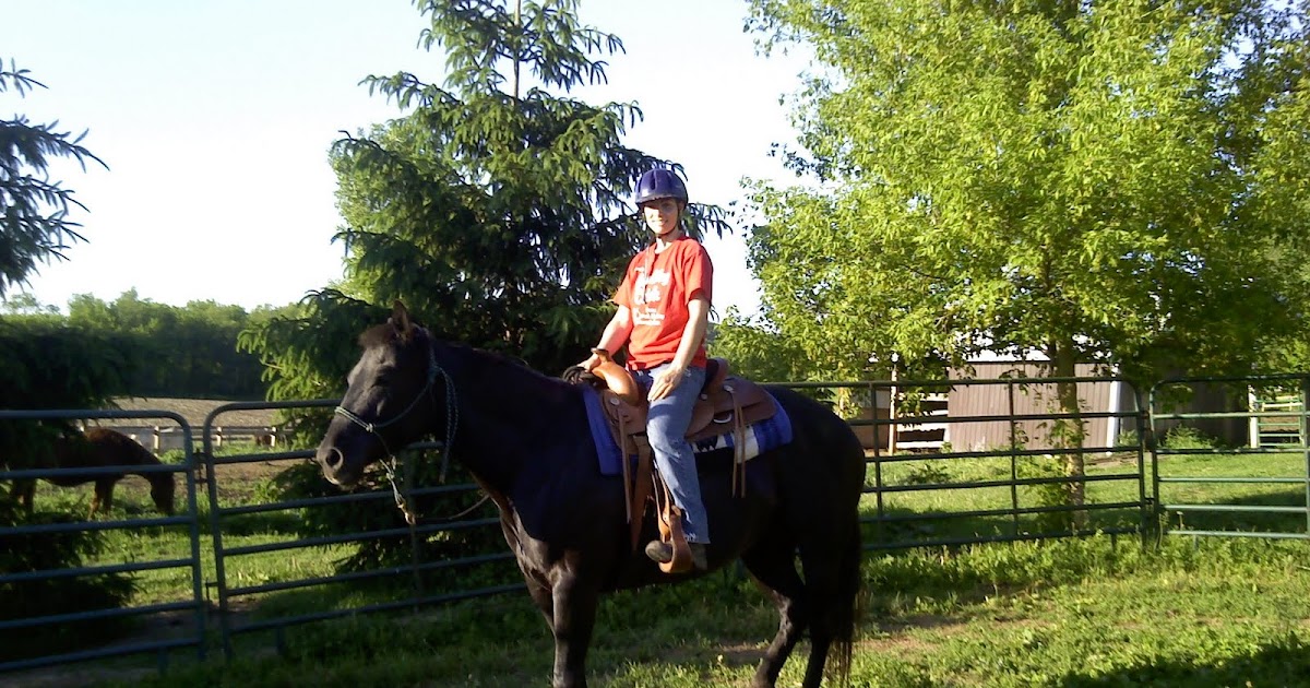 Second Chance Horse Rescue Ranch My last baby!