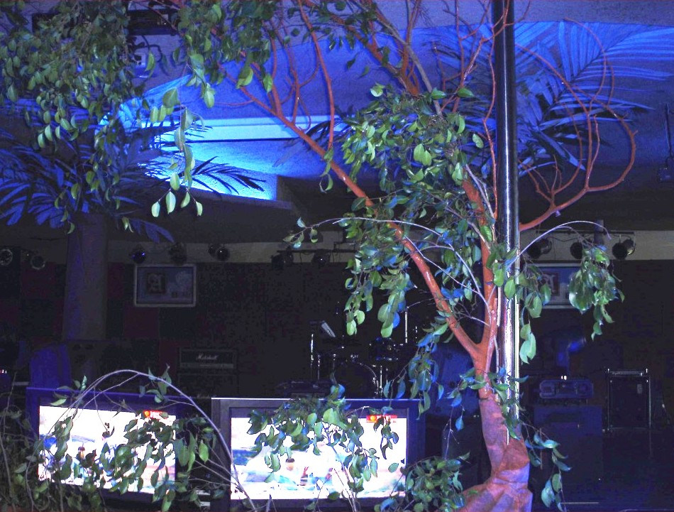 Jungle Decorations