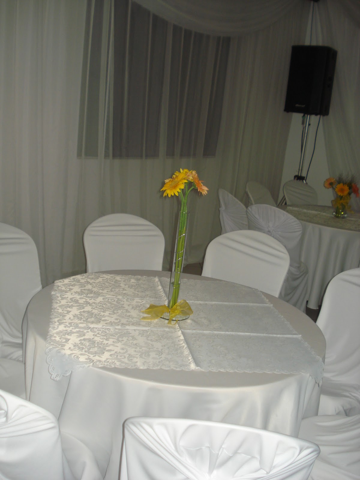 RAMA DECORA u00c7ÃO DECORANDO CASAMENTO Decoração Com Voal ~ RAMA DECORA u00c7ÃO DECORANDO CASAMENTO