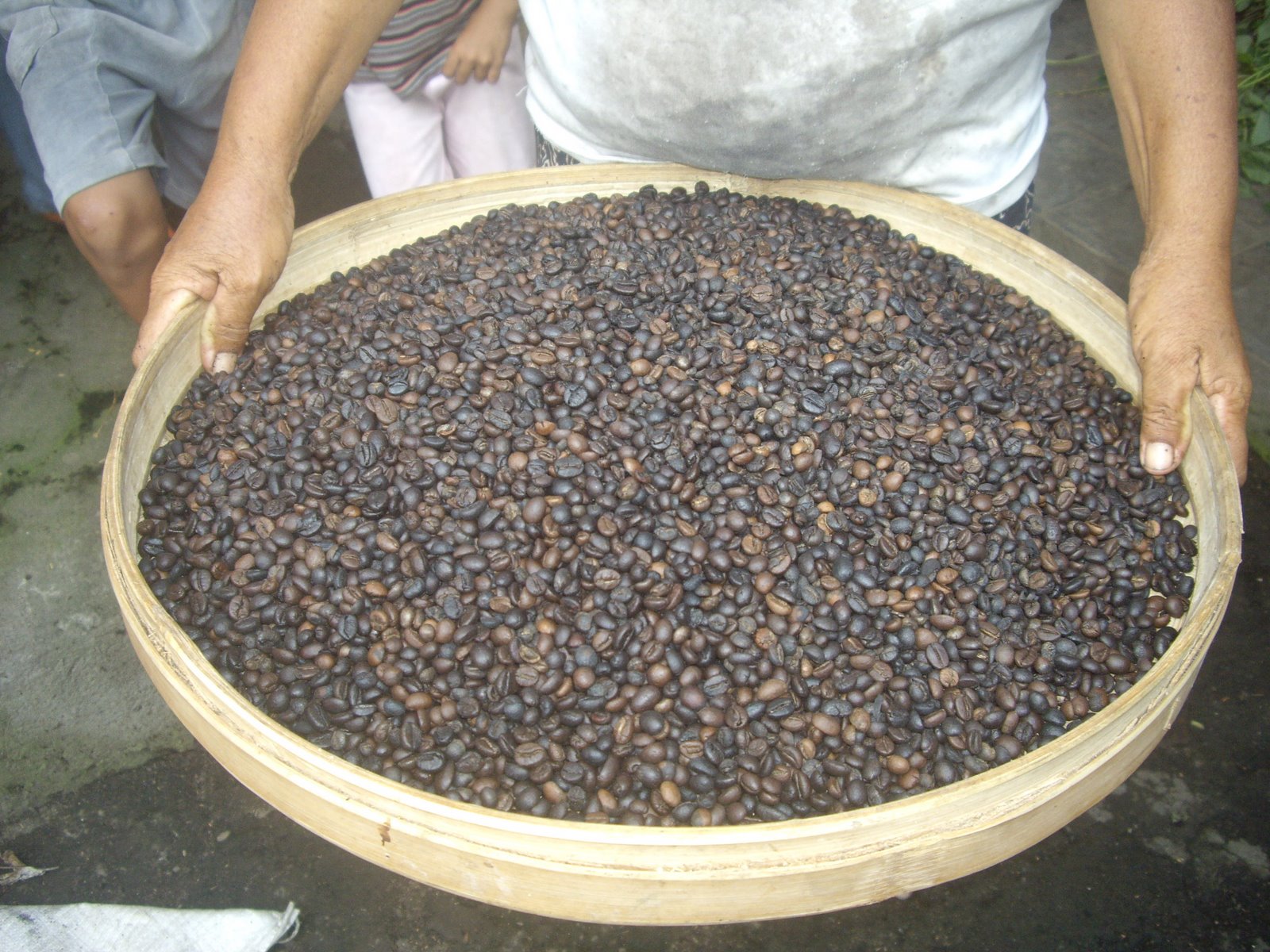FAMILY BUSINESS COFFEE PRODUCTION, LUNGSIAKAN VILLAGE NEAR UBUD, 2008.  WHOLE ROASTED COFFEE BEANS