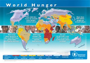 World Food Program Interactive Hunger Map Of America