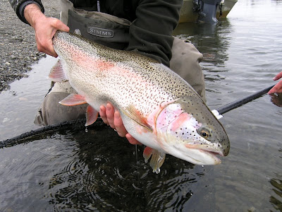 Rainbow Trout Fishing – Mend Rainbow Trout Fishing – Mend