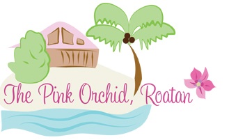 The Pink Orchid Roatan Blog