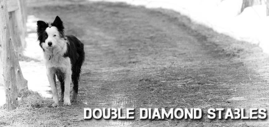 Double Diamond Stables