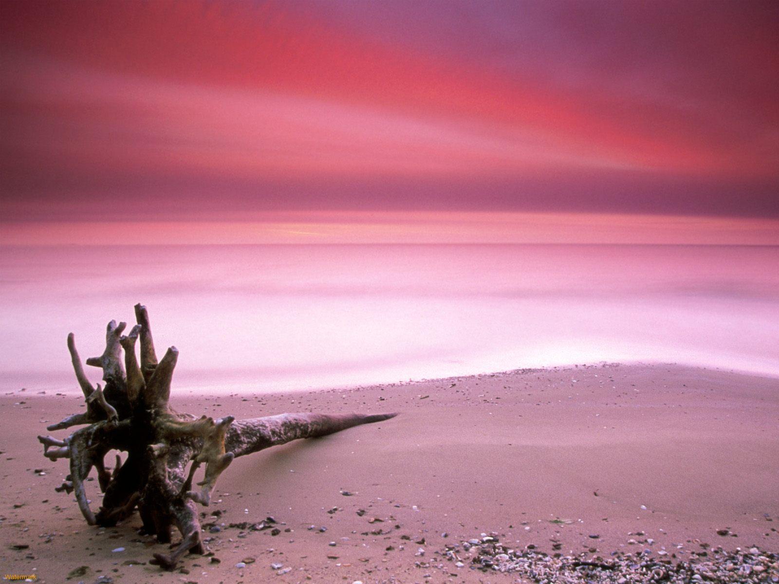 Pink Sand Beach Pink Sand Beach