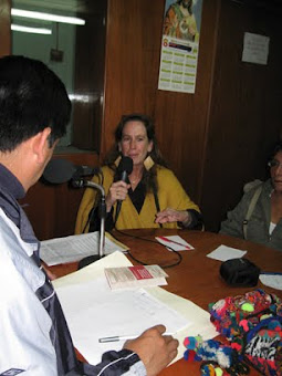 Radio Sur Cusco, 2008