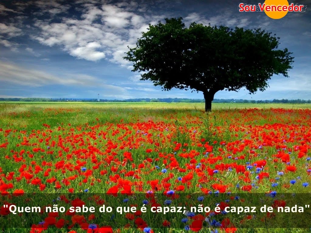 http://4.bp.blogspot.com/_A0km9hqaIUE/S8NmGTYJKTI/AAAAAAAAAXE/CcCL2f1S_xY/s1600/mente+1.jpg