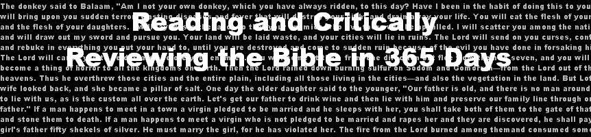 Reading and Critically Reviewing the Bible in 365 Days