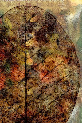Janet Planet Designs digital collage
