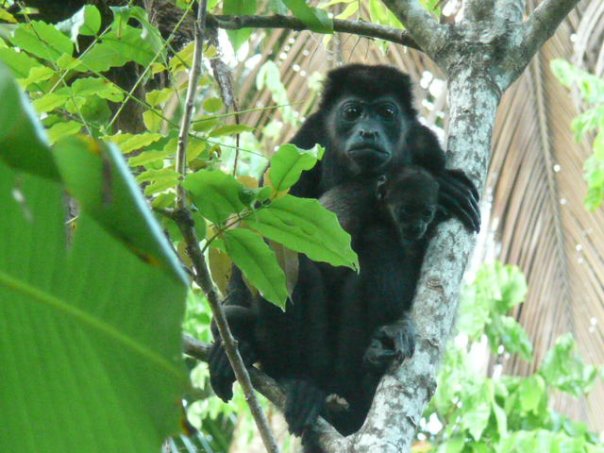 [17153_259586252672_743992672_4191679_232335_n.jpg]