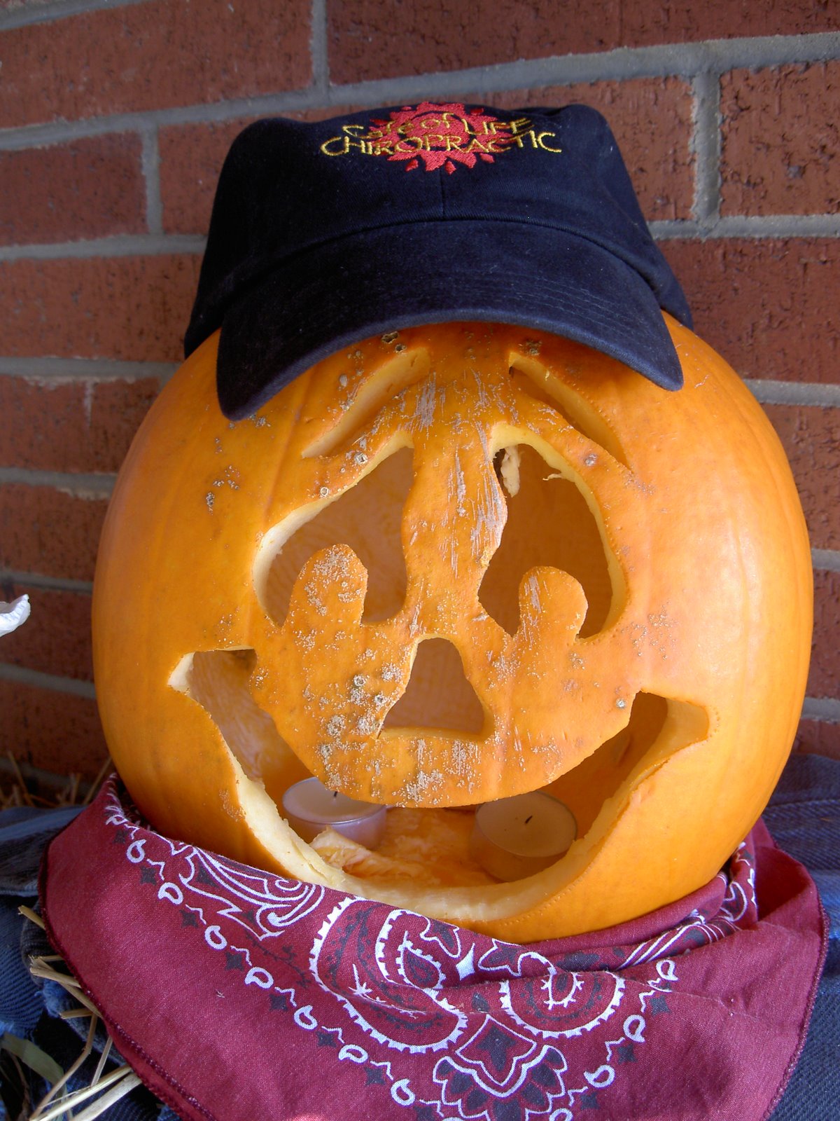 [halloween+2008+006.jpg]