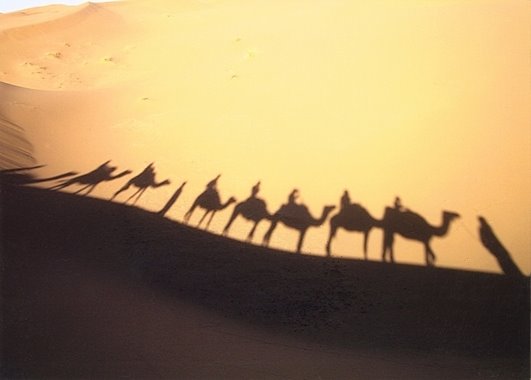 [desert+shadows.jpg]