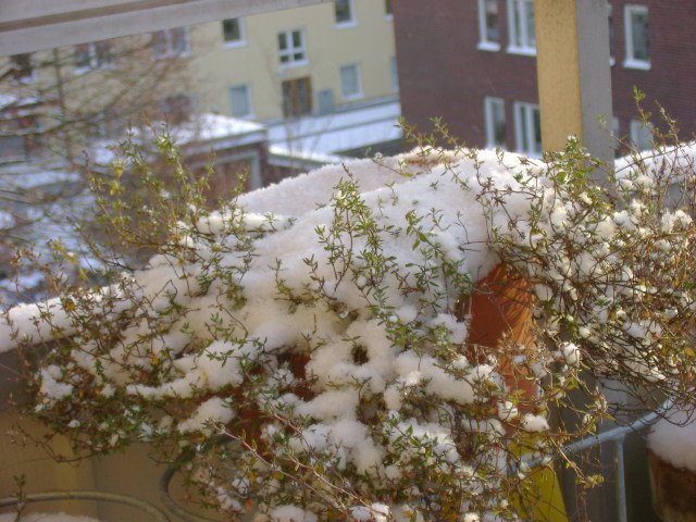 [DSC02167.JPG]