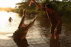 Tarcoles Crocodiles