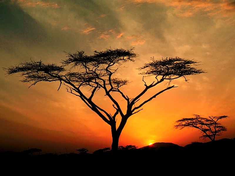 Sunrise Wallpaper Sunrise Wallpaper
