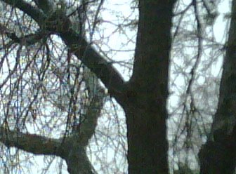 [=?utf-8?B?SU1HMDAwMDkuanBn?=-761053]