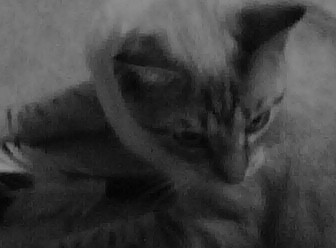 [=?utf-8?B?SU1HMDAwMTYuanBn?=-784559]