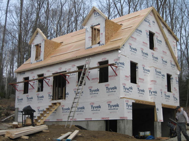 [All+pictures+185.jpg]