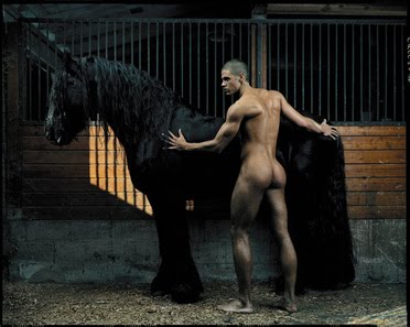 [horse+guy+12.jpg]