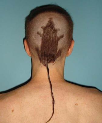 cabello-rata.jpg
