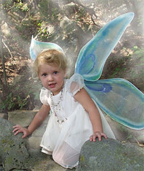 This a basic and great way to make fairy wings