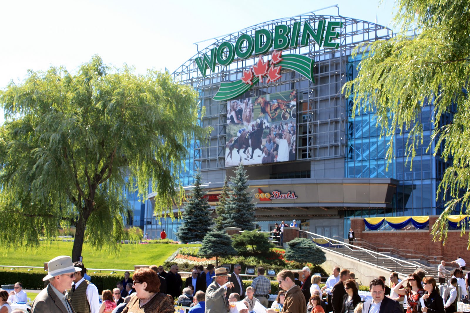 gorgeous day to be at the woodb...