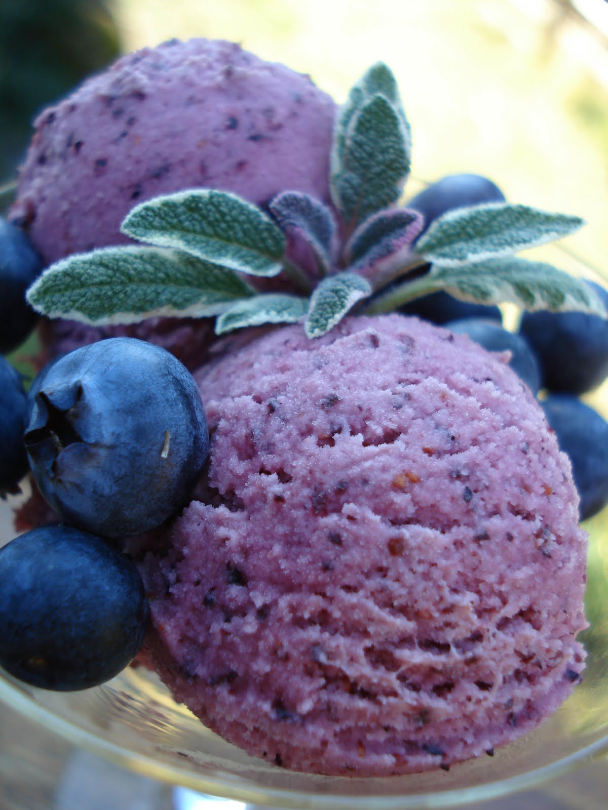 Ravenous Rowie Blueberry Sherbet