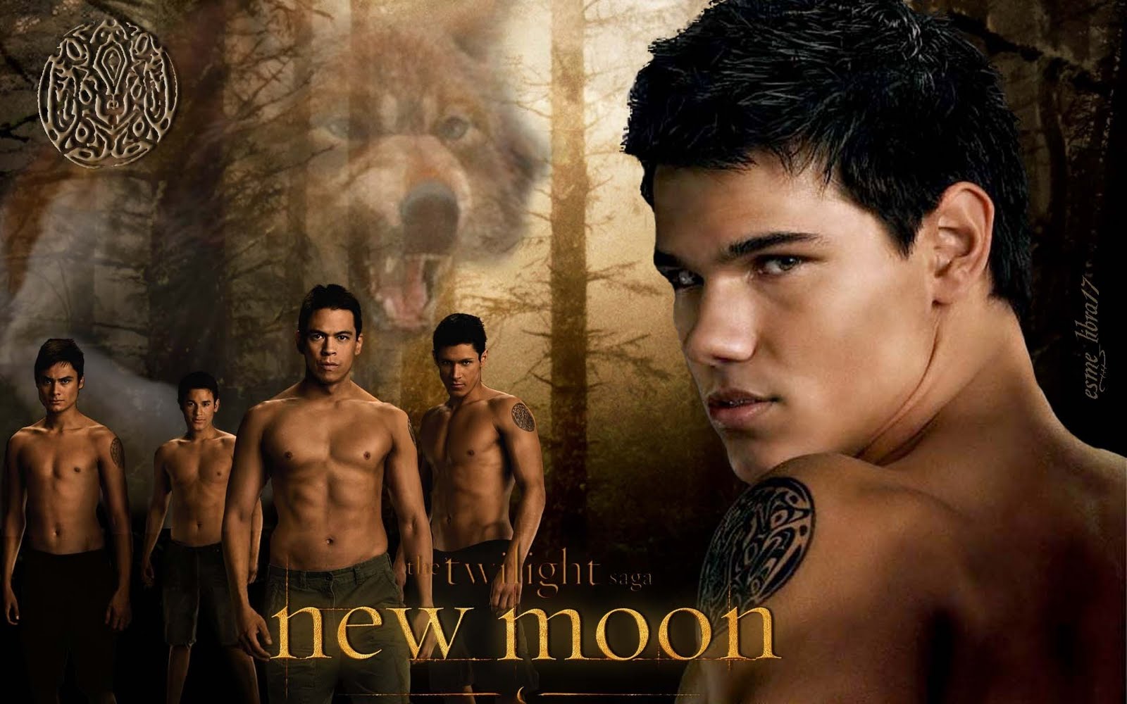http://4.bp.blogspot.com/_A7vd1oW85hU/TLv6Zlh4OhI/AAAAAAAAEFA/AsZY3Zkbbuo/s1600/New-Moon-Wallpaper-Werewolves-twilight-series-7428226-1920-1200.jpg