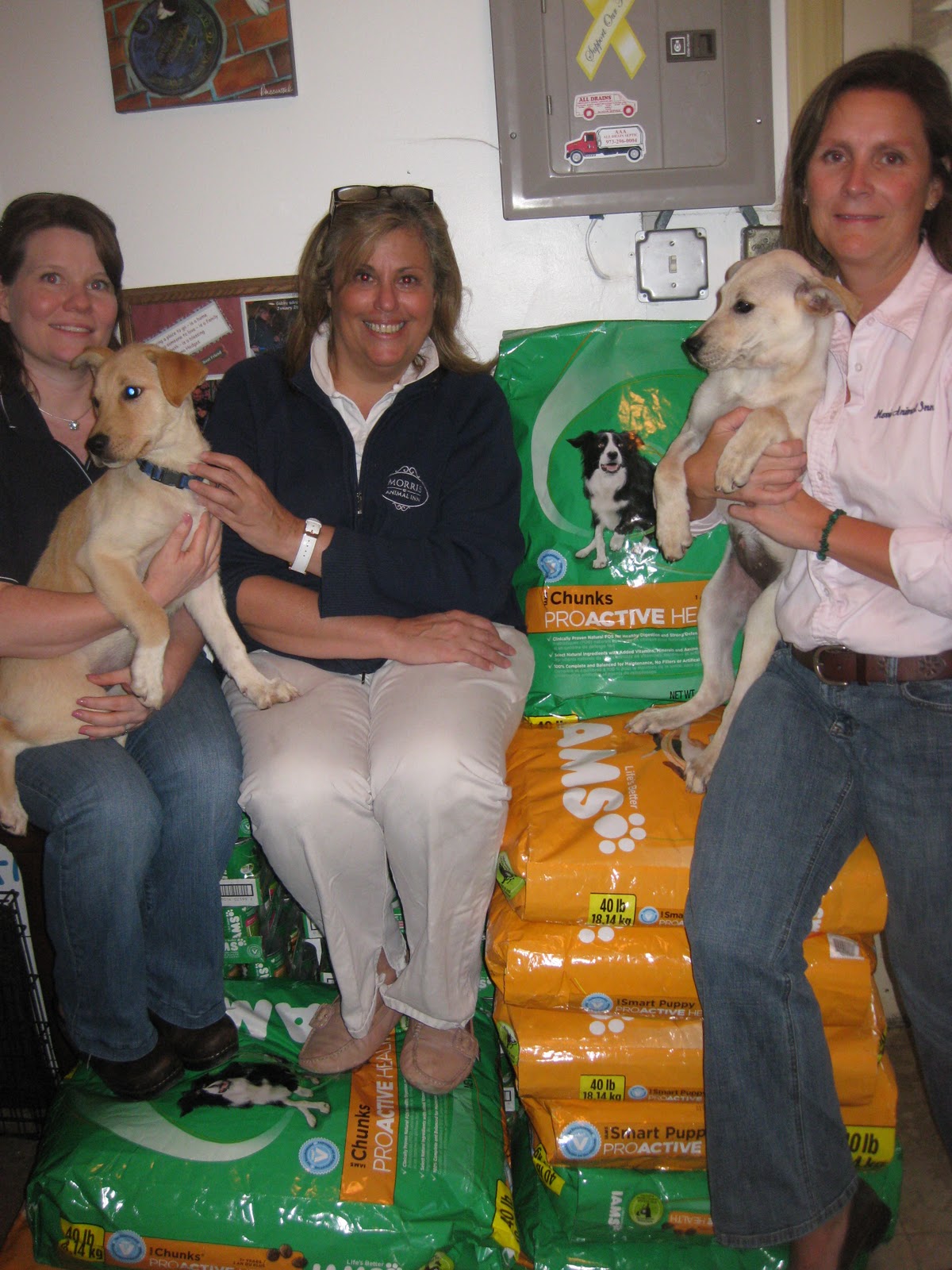 to Eleventh Hour Rescue for
