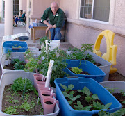 Roger is tending a garden .... in the desert!